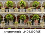 Hanging baskets on tradional New Orleans building on Royal Street in the French Quarter with grey wrought iron balconies