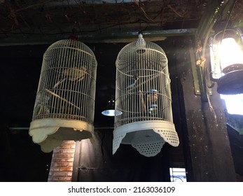 Hanging Birds Inside Bird Cage 