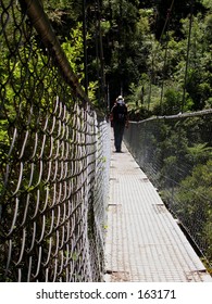 Hanging Bridge