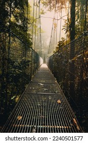 Hanging Bridge in the Forest. Rope Bridge. The Way through the Rainforest. Light in the End of a Way. Arenal Hanging Bridges. Costa Rica
