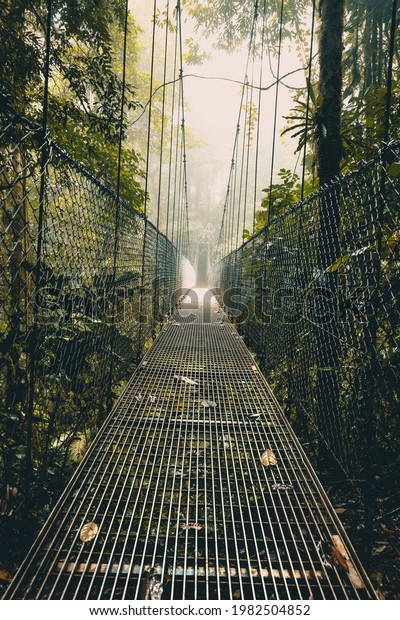 Hanging Bridge in the Forest. Rope Bridge. The Way\
through the Rainforest. Light in the End of a Way. Arenal Hanging\
Bridges. Costa Rica