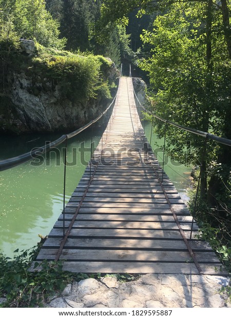 Hanging bridge in forest when\
hiking outdoor, place Zeleni Vir, Olovo, Bosnia and\
Herzegovina