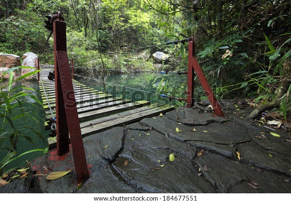 hanging bridge in\
forest when hiking\
outdoor