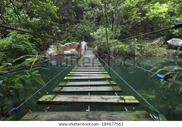 hanging bridge in\
forest when hiking\
outdoor