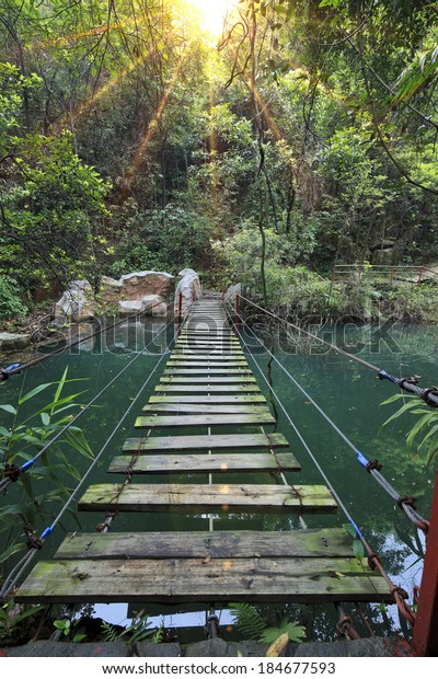 hanging bridge in
forest when hiking
outdoor