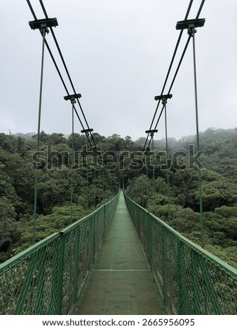 Hanging bridge in the Monteverde Cloud Forest, Costa Rica
