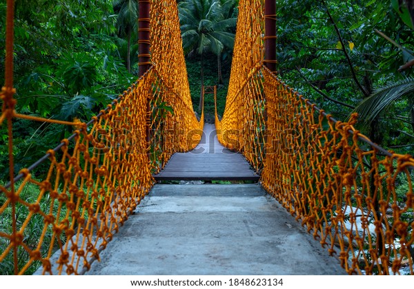 Hanging\
bridge with orange ropes in green jungle forest. Tropical jungle\
moody landscape with suspension bridge. Tropical island jungle\
trekking footpath. Summer vacation adventure\
tour