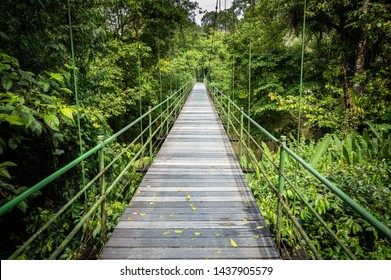 Hanging Bridge At Sarapiqui Jungle, Costa Rica. 