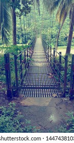 The Hanging Bridge, Which Is The Longest In Kerala, Built Across River Chaliyar, To Reach Nilambur