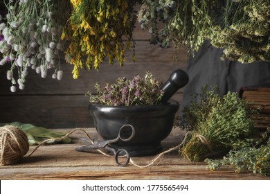Hanging bunches of medicinal herbs, black stone mortar with dried plants. Alternative medicine.