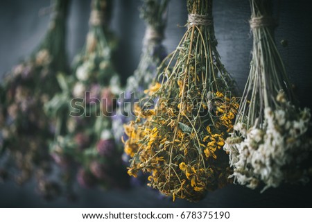 Hanging bunches of medicinal herbs and flowers, focus on hypericum flower St. Johns wort. Herbal medicine. Retro toned.
