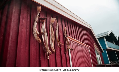Hanging cod on the wall of a red building in Longyearbyen showcasing local fishing traditions
