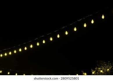 Hanging decorative string lights at night over dark trees