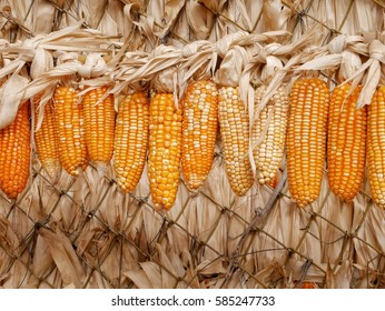 Hanging dried corns