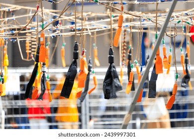 Hanging firecrackers of different colors during the Mascletá of Valencia, Spain