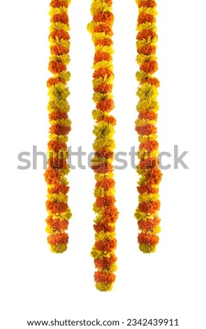 Hanging flower decoration border design, Onam and Diwali concept image, Flower border isolated on white background