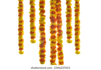 Hanging flower decoration marigold flower isolated on white background Onam festival background, Pongal and Diwali decorations