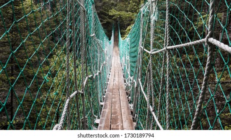 Hanging Footbridge In The Forest, Gaspé Peninsula, Sainte-Anne-des-Monts, Quebec 