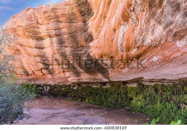 Hanging Gardens Near Page Arizona Stock Photo Edit Now 600838169