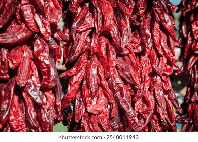 Hanging hot red chili pepper ristras in a New Mexico outdoor public market, USA. - Powered by Shutterstock