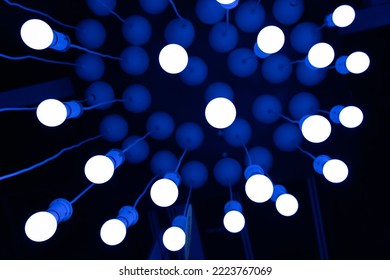 Hanging LED Light Bulbs on Blurred Background, Cold Energy Saving Lamp, Blue Light of Incandescent Lightbulbs