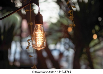 Hanging Light Bulb