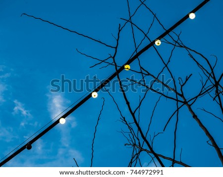 Similar – light chain Winter Tree