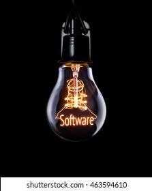 Hanging lightbulb with glowing Software concept.