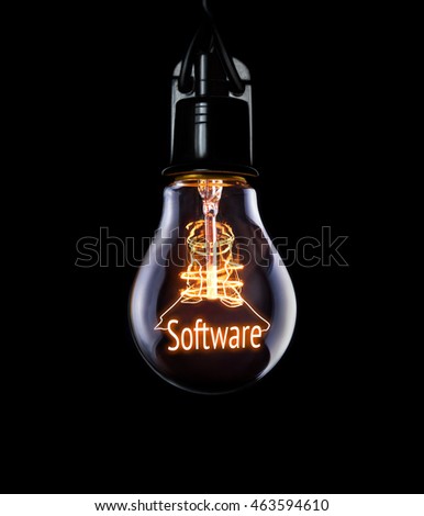 Hanging lightbulb with glowing Software concept.