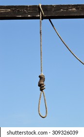  Hanging Noose