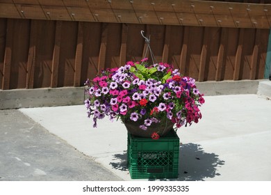 Hanging Plant Sitting On Green Milk Crate In Park Lot With Fence In Background