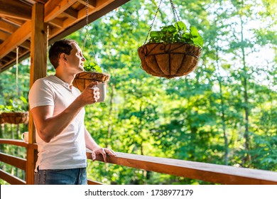 Hanging potted plant flowerpot with man drinking coffee tea mug cup on porch of log cabin cottage house with green color - Powered by Shutterstock