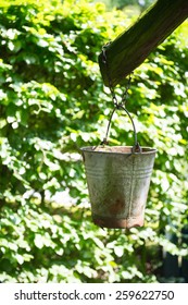 Hanging Rusty Bucket Outdoor