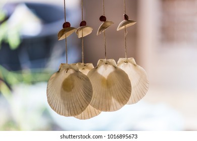 Sea Shell Hanging Images Stock Photos Vectors Shutterstock