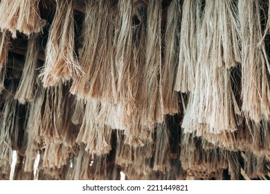 Hanging strong Abaca plant fibers, a natural leaf fiber, also called Manila hemp or Musa textilis from Banana tree leafstalk native to Philippines. Animal free item. Selected focus. Copy space.