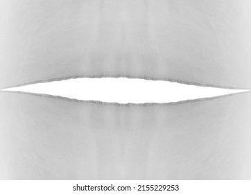 hanging teared rag spread isolated on white  background , can use like a background or any texture. hole in the tissue - Shutterstock ID 2155229253