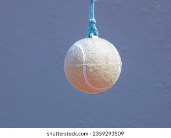  a hanging tennis ball for indoor cricket practice - Powered by Shutterstock