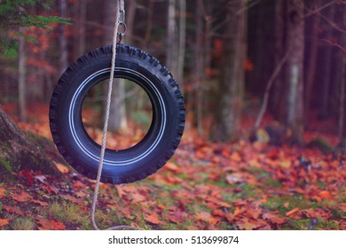 hanging tire at the tree for swinging