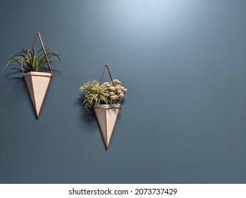 Hanging Triangle Shape Pot With Plants On A Blue Background Wall. Home Decorative Plants