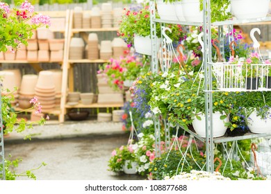 Hangup Pots With Flowers In Garden Center Greenhouse Plants Shelves