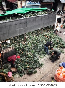 Hanoi, Vietnam - September 3, 2017: Workers sifting through a new load of fresh pineapples to go to market