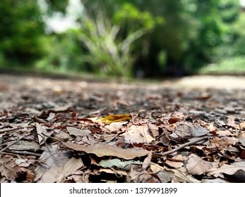 The Hanthana Mountain Range Lies In Central Sri Lanka, South-west Of The City Of Kandy. It Was Declared As An Environmental Protection Area In February 2010 Under The National Environment Act. The Max