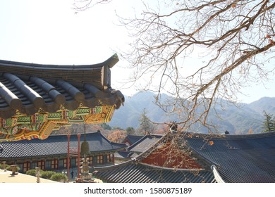 Hapcheon County Gyeongsangnam-do Korea. Nov. 21. 2019: A World Heritage Site, The Landscape Of The Temple Building In Haeinsa.