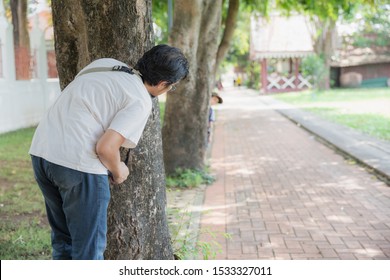 Happiness Of Asian Father And Son Playing Hide And Seek In The Garden During The Spring Holidays
