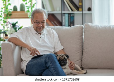 Happiness Elderly Asian Man Sitting On Sofa And Using Computer Tablet And Smile With Dog Pug Breed At Home, Senior Lifestyle At Home Concept