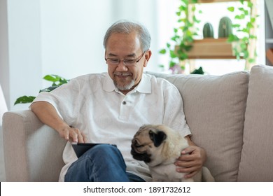 Happiness Elderly Asian Man Sitting On Sofa And Using Computer Tablet And Smile With Dog Pug Breed At Home,Senior Lifestyle At Home Concept