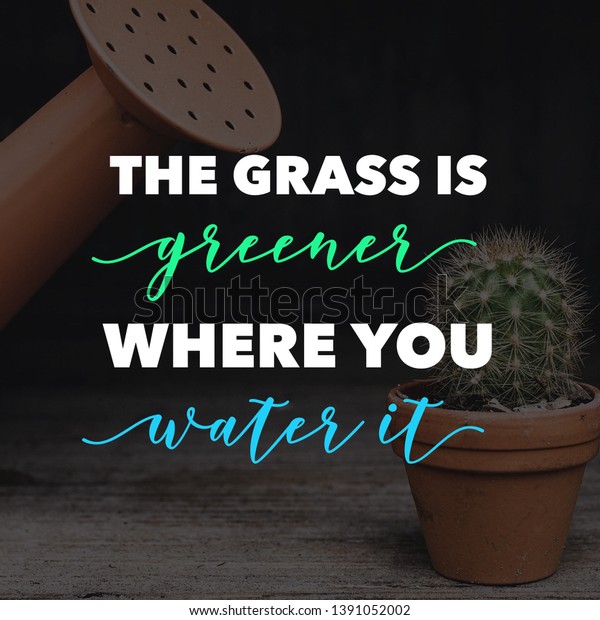 Happiness Quotes Happy Life Grass Greener Royalty Free Stock Image