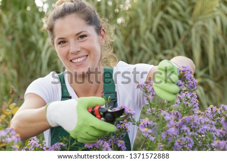 happu attractive woman in plaid shirt is pruning flowers