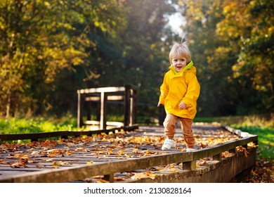 Happy 3 years boy wearing yellow bright coat running on wood path walk in sunny autumn forest park