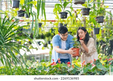 Happy Adult Asian family couple choosing and buying plant together at plant shop street market on summer vacation. Man and woman enjoy hobbies and leisure activity growing plant and flower at home. - Powered by Shutterstock